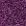 Violet Chalk/Purple Clover