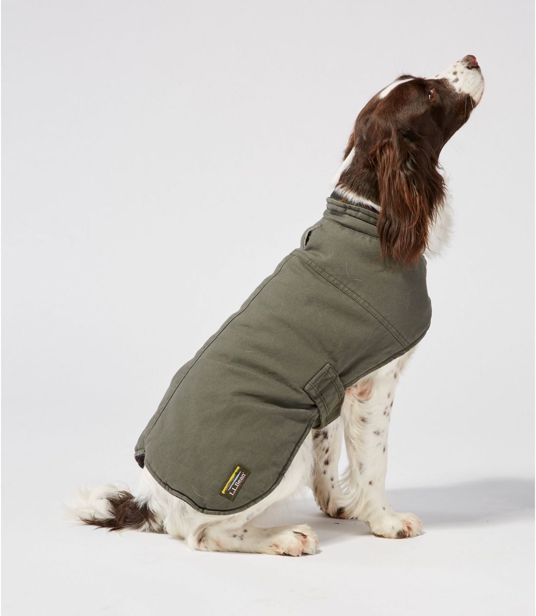 Ll bean dog sweater clearance