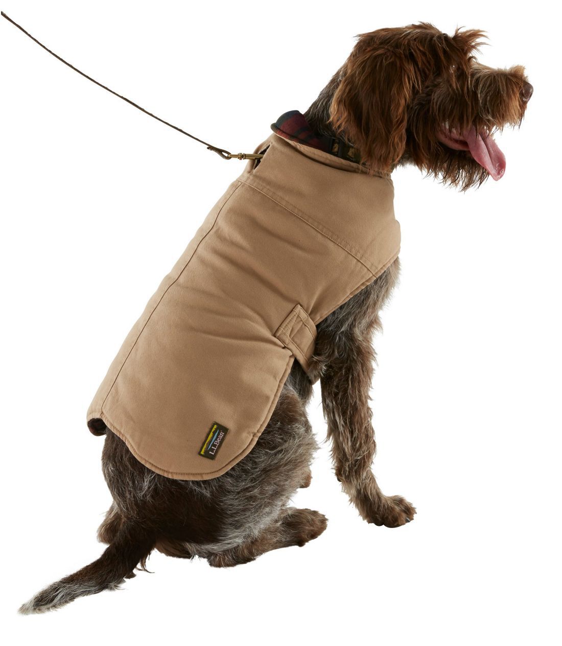Ll bean dog coat clearance