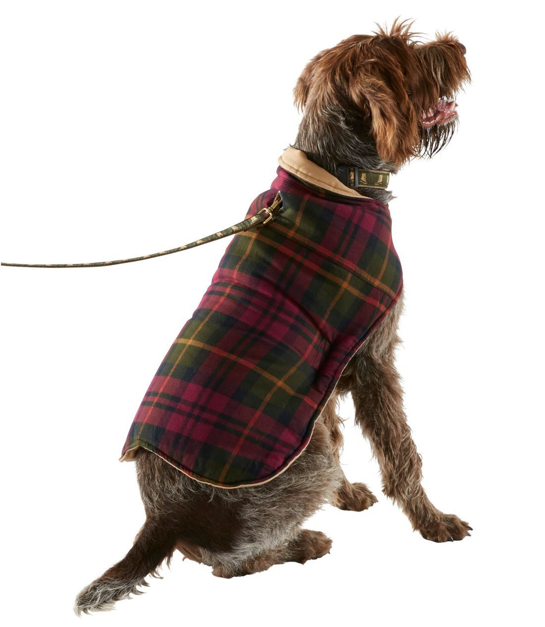 Ll bean dog coat clearance