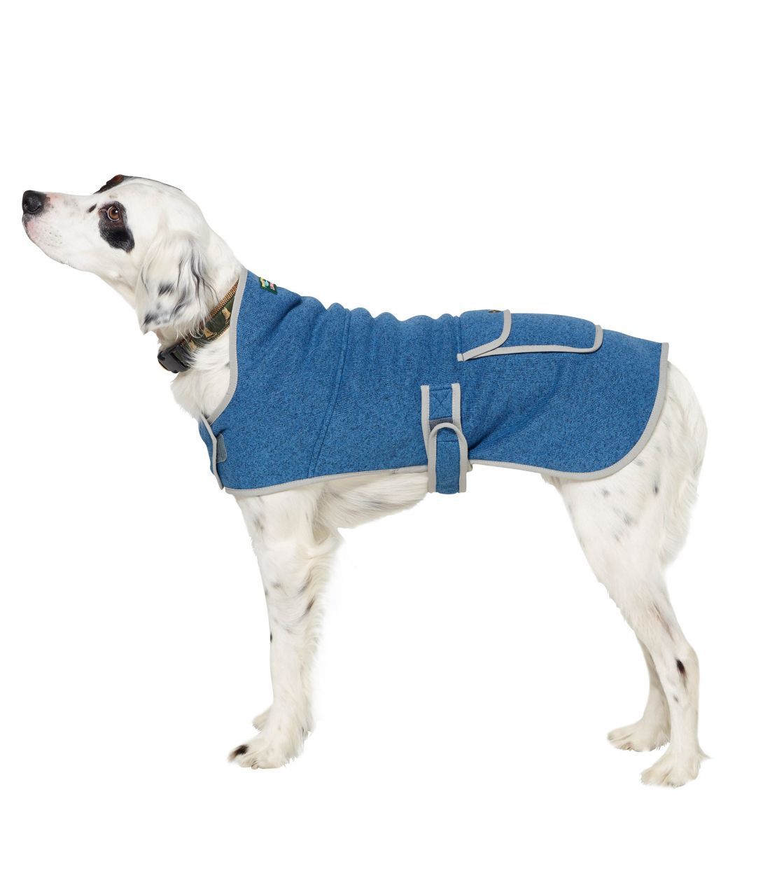 Patagonia dog sweatshirt clearance
