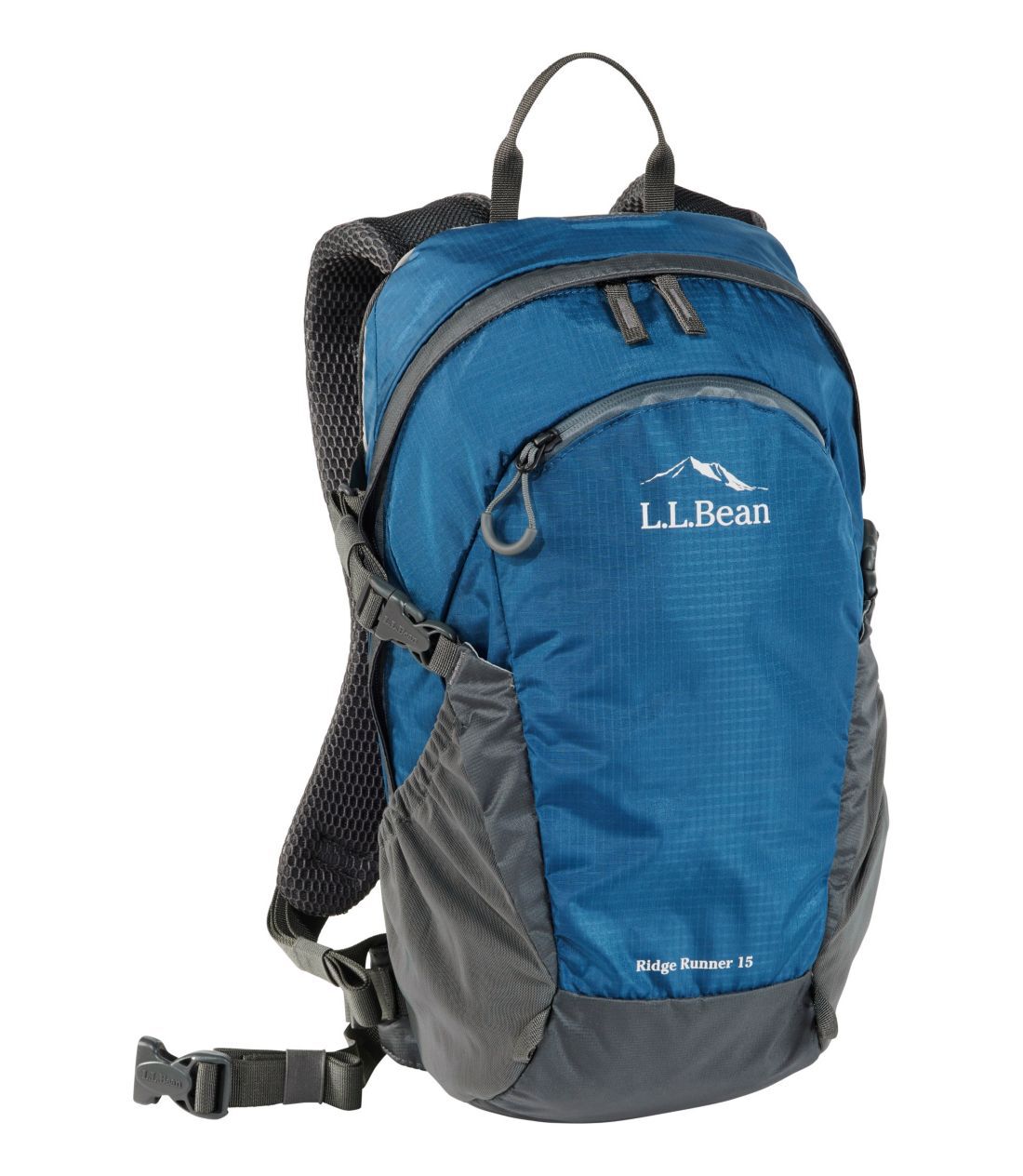 新品同様 LLBean レザーリュック