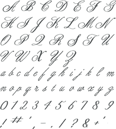 細字スクリプト体(TM)