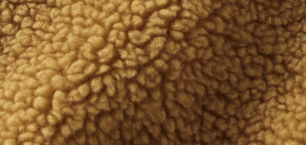 Bean's Sherpa Fleece
