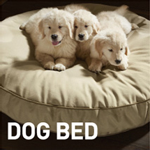 DOG BED