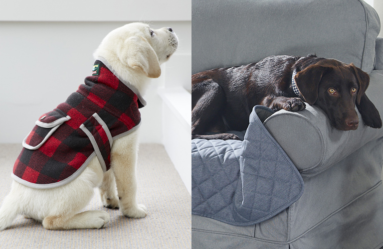 Dog Bed & Pet Accessories 15% OFF Dog Bed & Pet Accessories 15% OFF