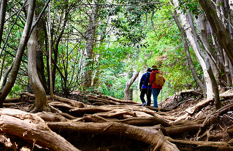 Enjoy! Camp & Hike