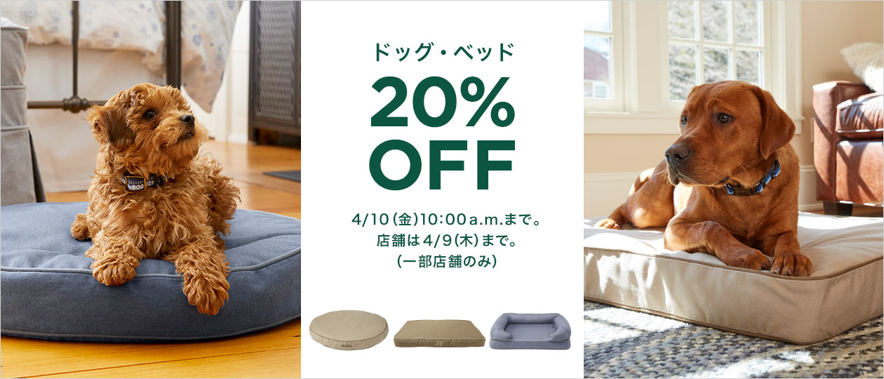 ドッグ・ベッド 20% OFF