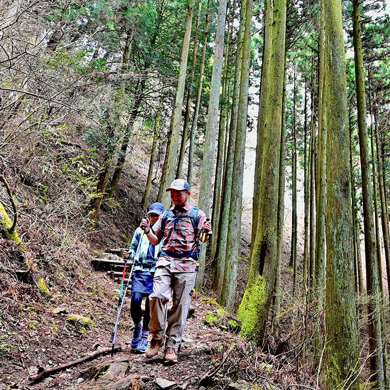 Let's go to National Parks｜L.L.Bean公式オンラインストア