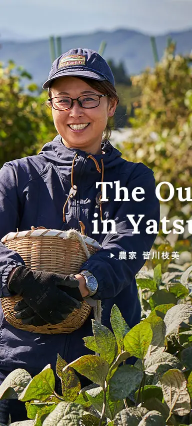 The outsiders in Yatsugatake