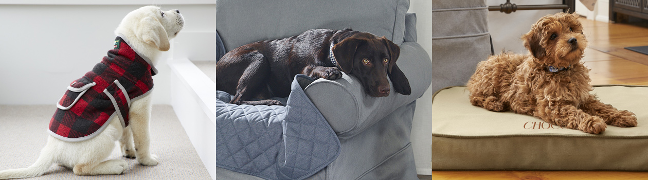Dog Bed & Pet Accessories 15% OFF Dog Bed & Pet Accessories 15% OFF