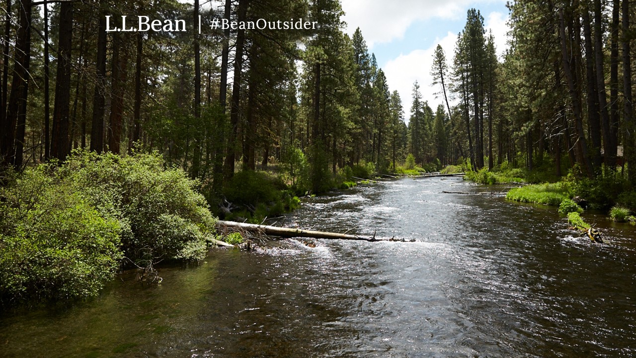 Scenic river and evergreen trees in Camp Sherman OR.