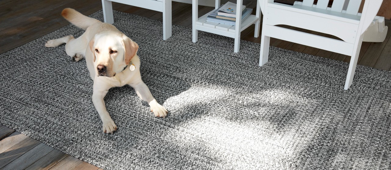 A dog lying on an outdoor rug on a porch