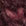 Deep Rosewood