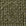 Kelp Green