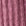 Dark Plum Rose