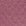 Dark Plum Rose