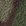 Deep Moss Camo