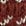 Red Ochre Birdseye