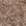 Taupe/Mushroom & Frog
