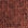 Red Chestnut