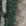 Green/Green