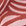 Dark Salmon Botanical