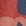 Carbon Navy Abstract Hibiscus