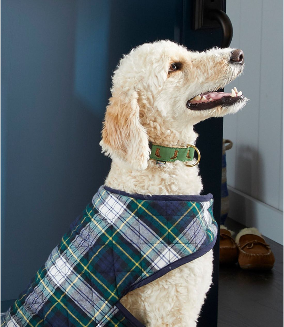 ノベルティ・リボン・ドッグ・カラー 通販｜L.L.Bean公式オンラインストア