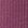 Dark Plum Rose