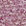 Dark Plum Rose