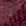 Cranberry