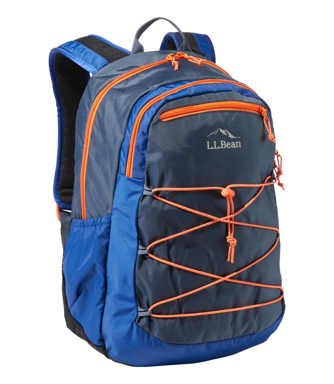 スノーブルー コンフォート・キャリー・ラップトップ・パック、30L アウトドア キッズ バッグ 通? 通販 