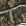 Mossy Oak Country DNA