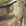 Mossy Oak Country Roots