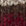 Mountain Red