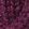 Royal Plum