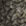 Woodsmoke Camo