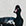 Mallard