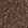 Cocoa