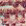 Reef Coral Blur Stripe