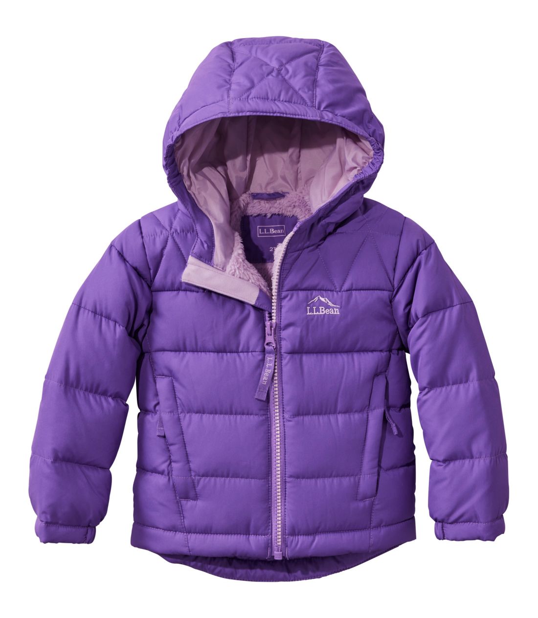 cEGEGEr[E_EEWPbg^Toddlers' L.L.Bean Down Jacket