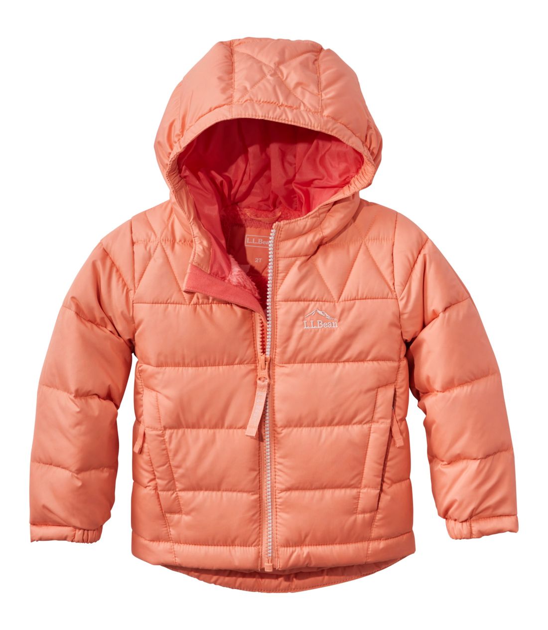 cEGEGEr[E_EEWPbg^Toddlers' L.L.Bean Down Jacket